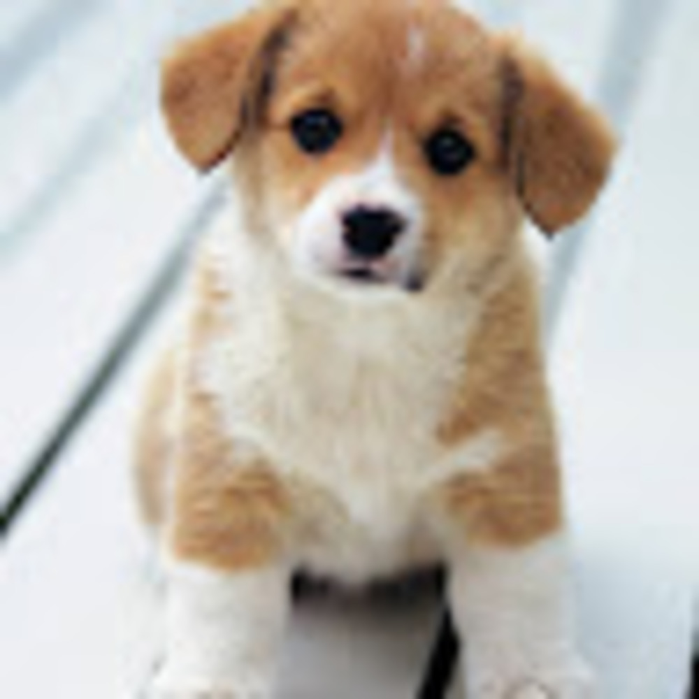 Meet your Posher, Rhyann